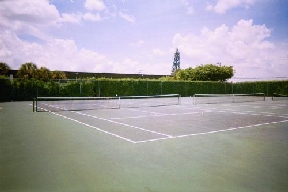 Hidden Harbor Image 14