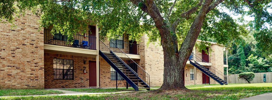 The Trace at North Major Image 1