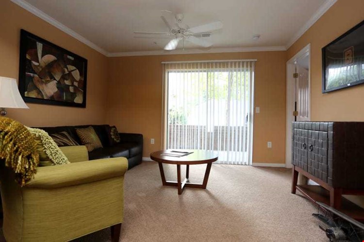 The Reflections of West Creek Image 7