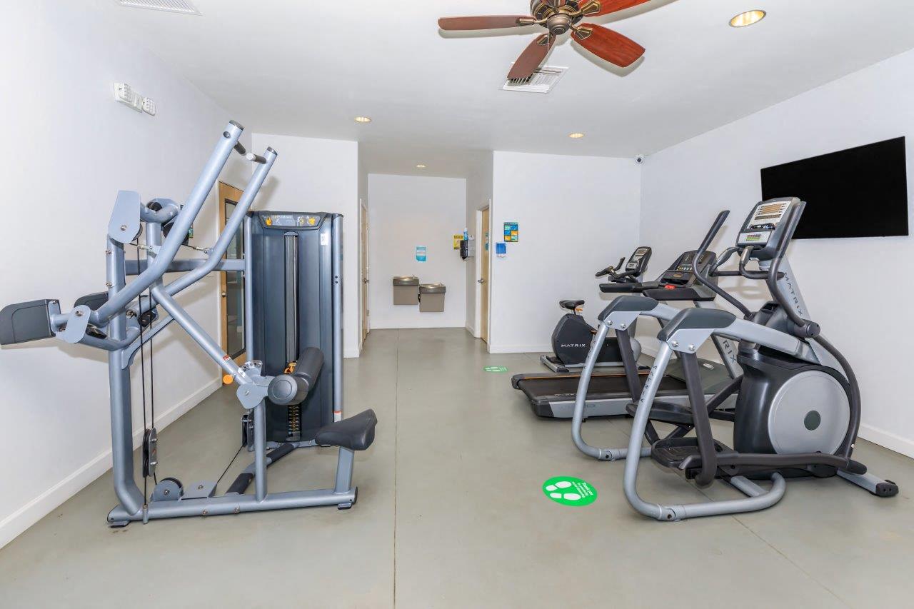 Treehouse Apartments Image 18