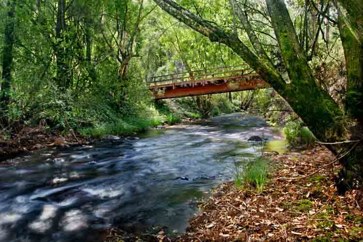 Lee Overlook Image 2