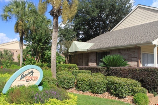 Arise St. Gregory's Beach Image 5