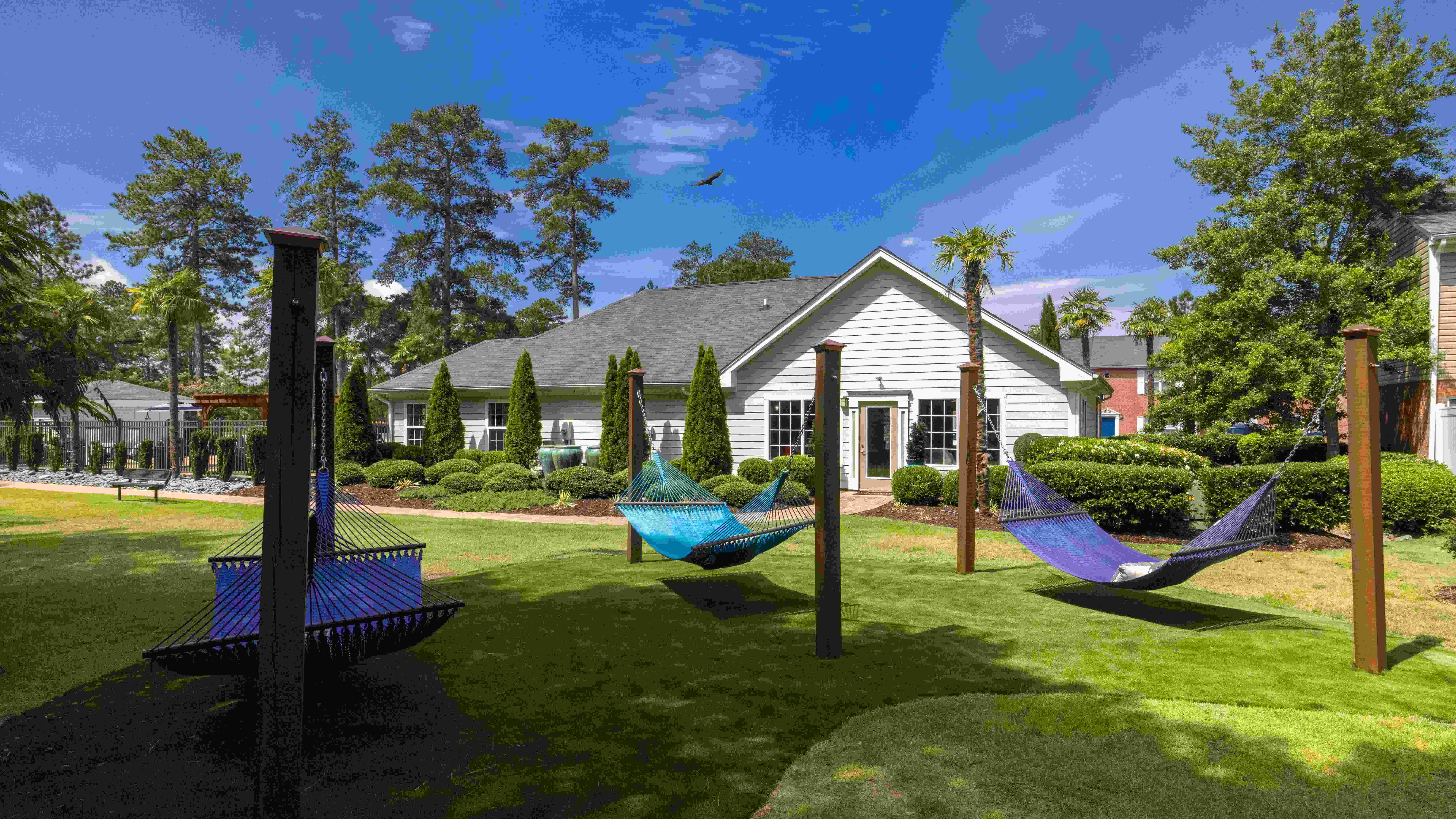 Relax and unwind in our hammock garden - a perfect escape to soak in the fresh air and embrace tranquility. 