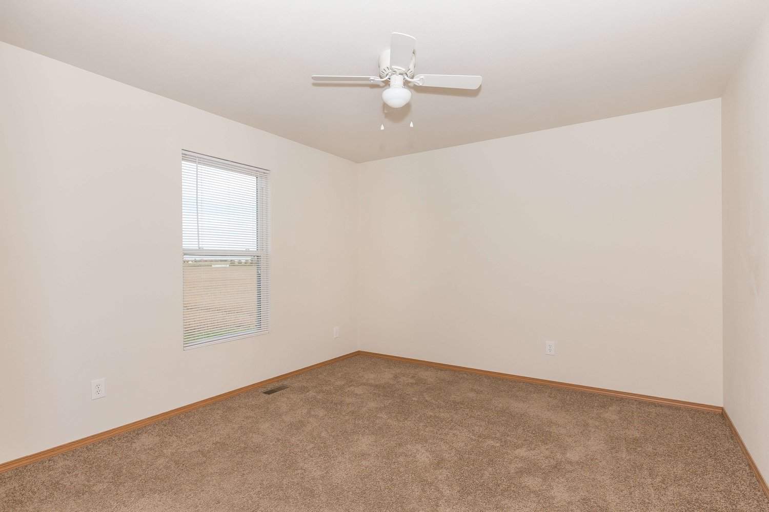 Storyboard on Hayden Image 10