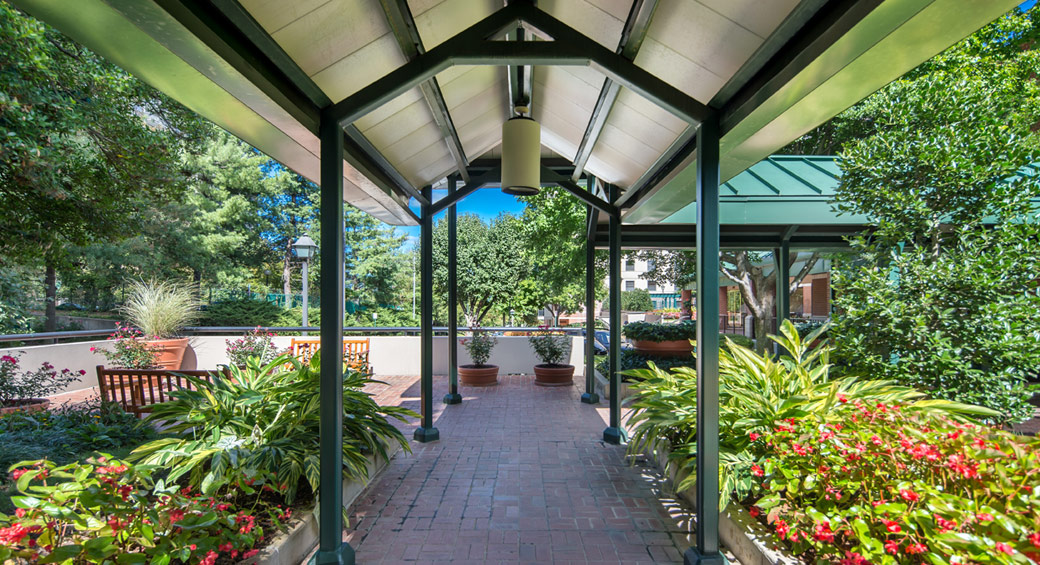 Garden & Walkway