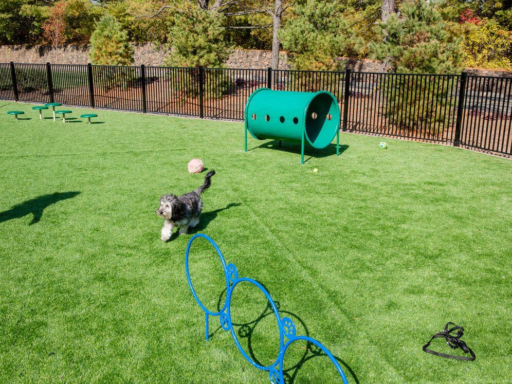 WAG Pet Park