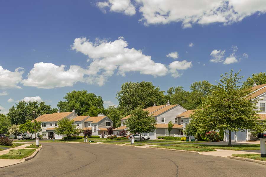 Rose Hollow Image 12