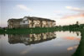 Arbors of Yankee Vineyards Image 5