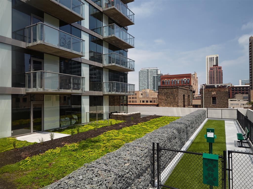 zzz CATALYST Chicago Image 16