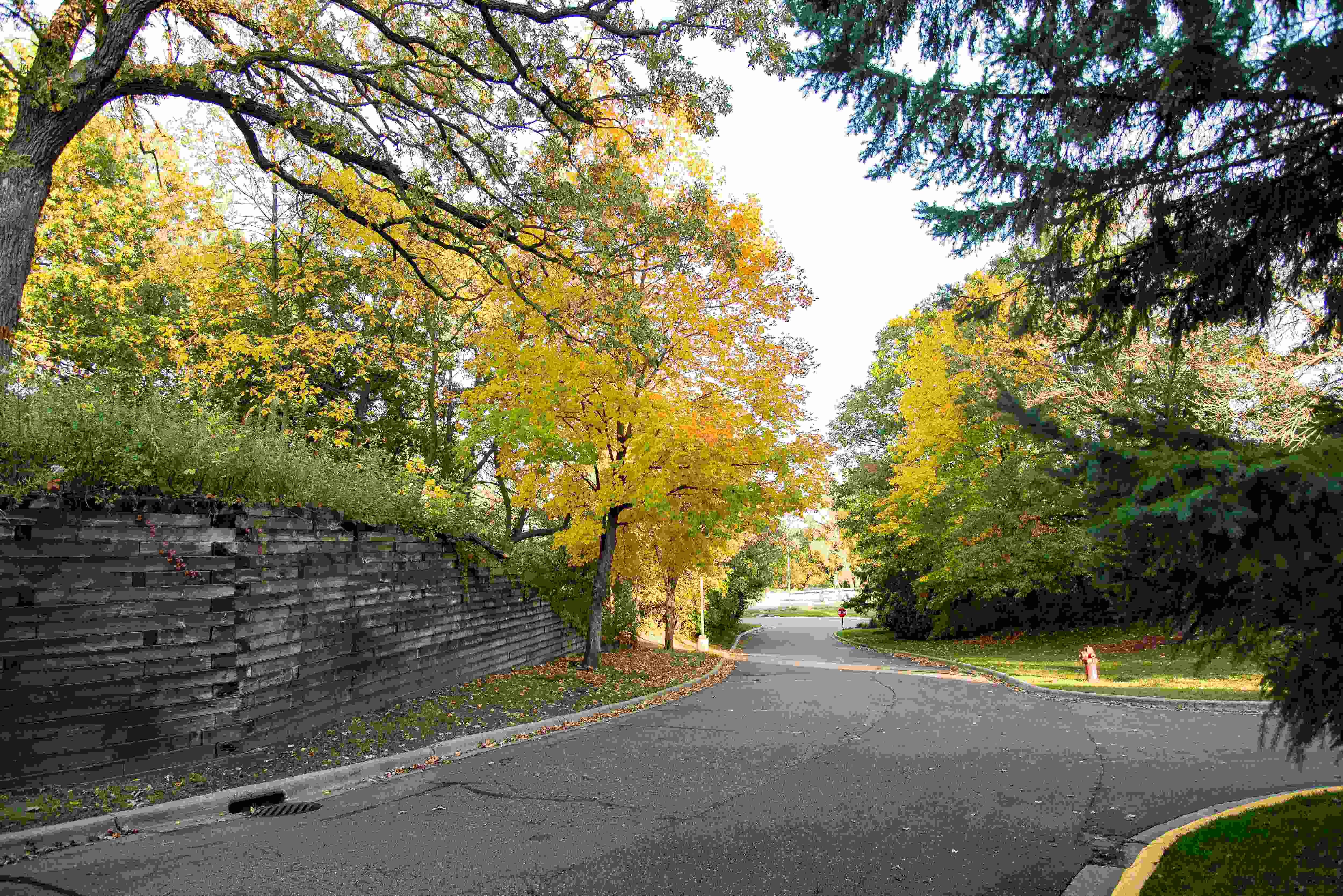 Minnetonka Hills Outdoor Space