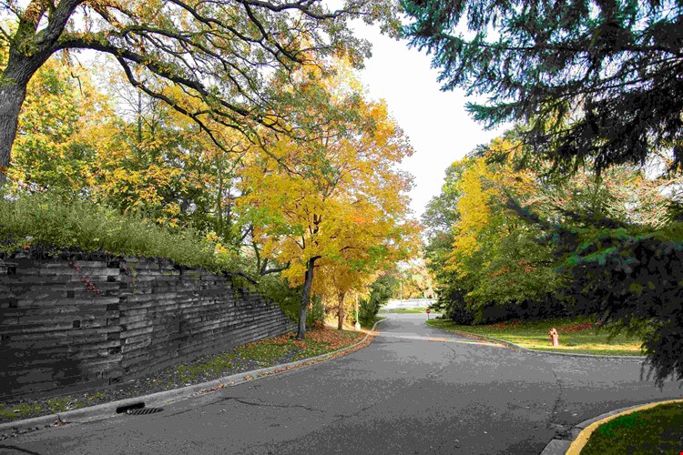 Minnetonka Hills Outdoor Space