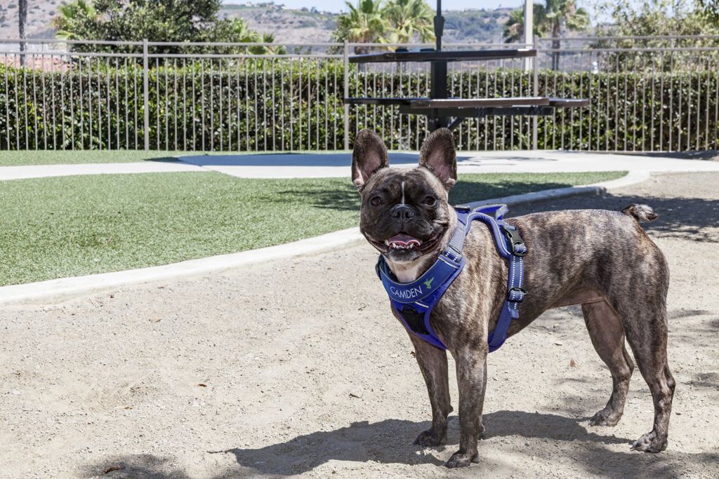 Camden Old Creek Image 33