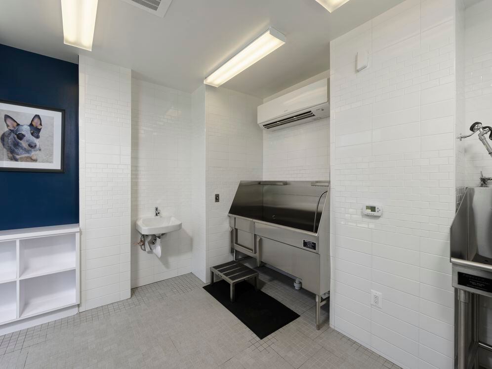 WAG pet spa with bathing area and grooming equipment