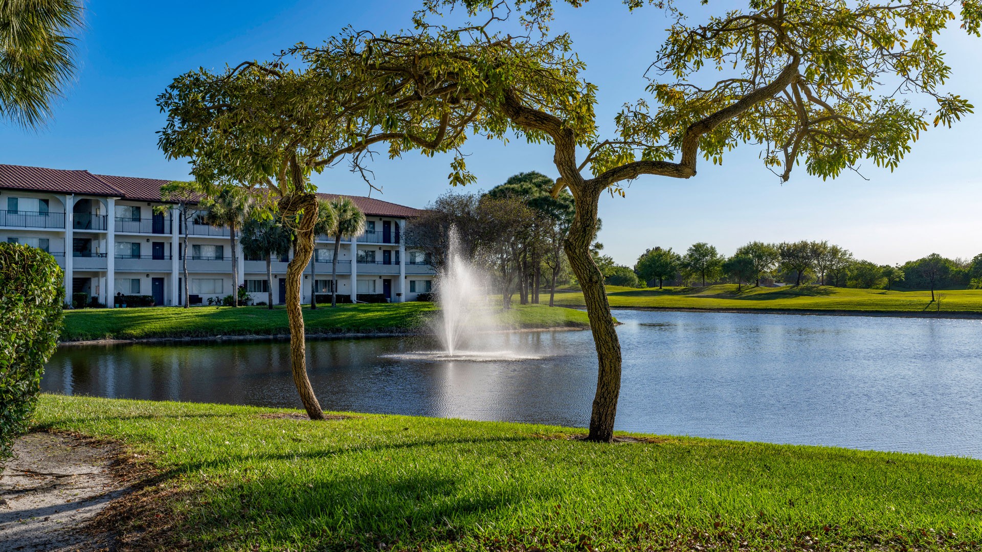 Cameron Cove Image 23