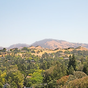 Castlewood Apartments Image 4