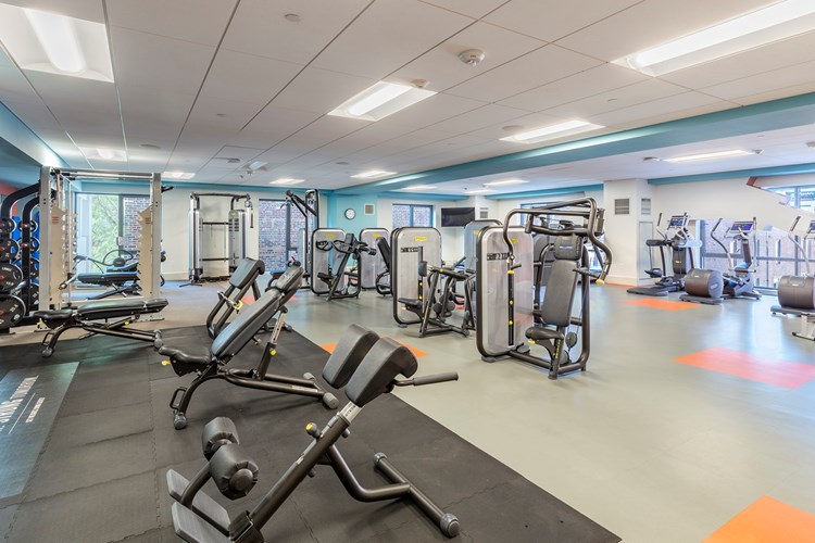 The fitness center is equipped with both free and machine weights