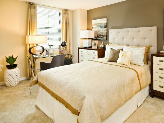 vPoint Apartments Image 5
