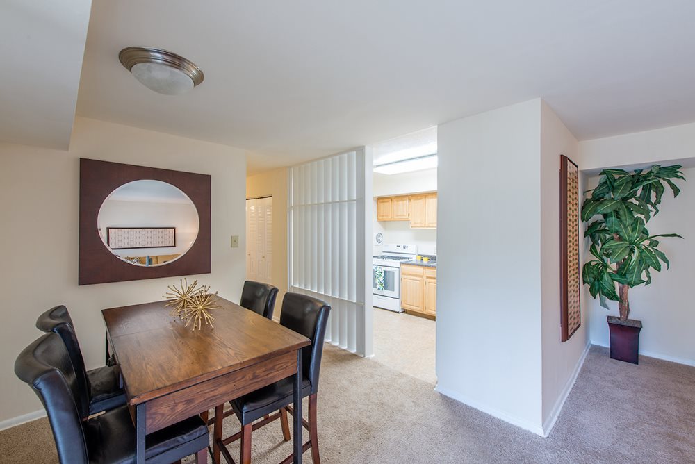 Woods at Addison  Image 3