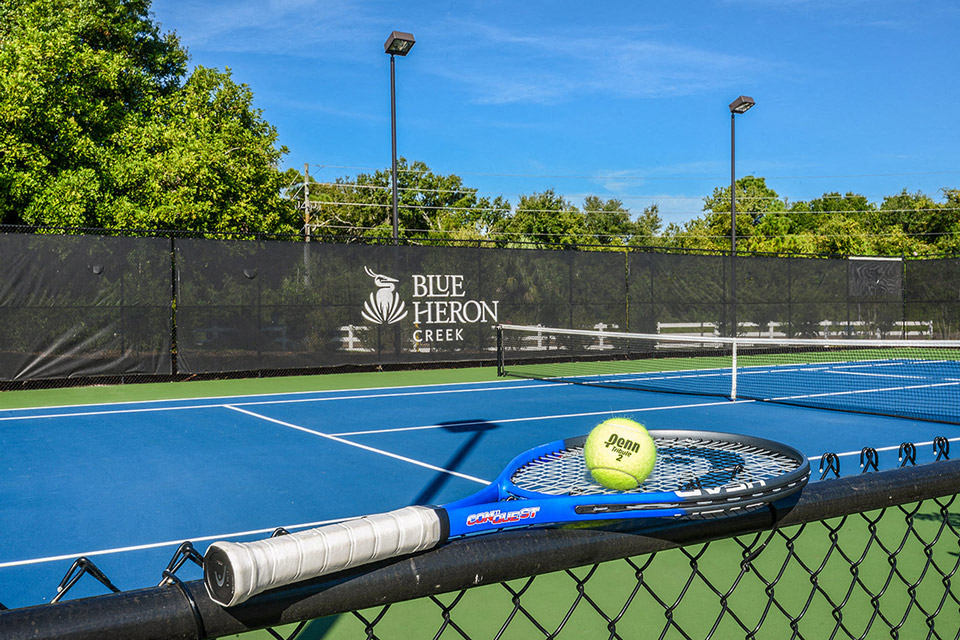 Blue Heron Living Image 21