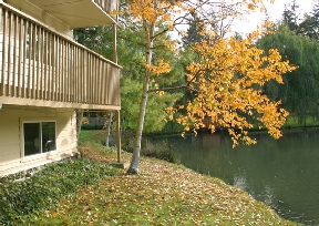 Lakeview Park Image 2
