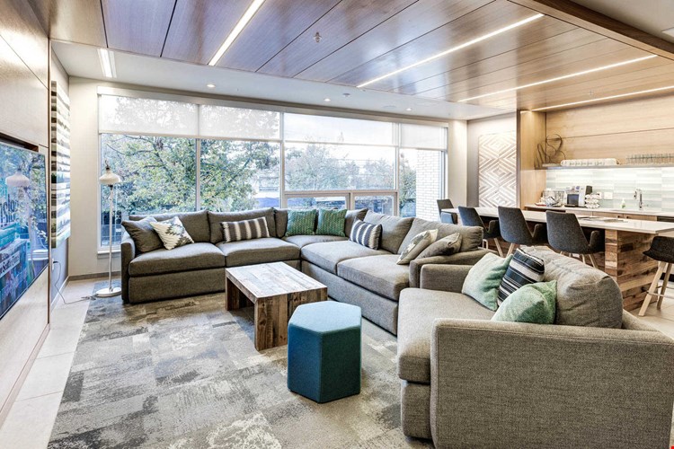 Springline  Image 32