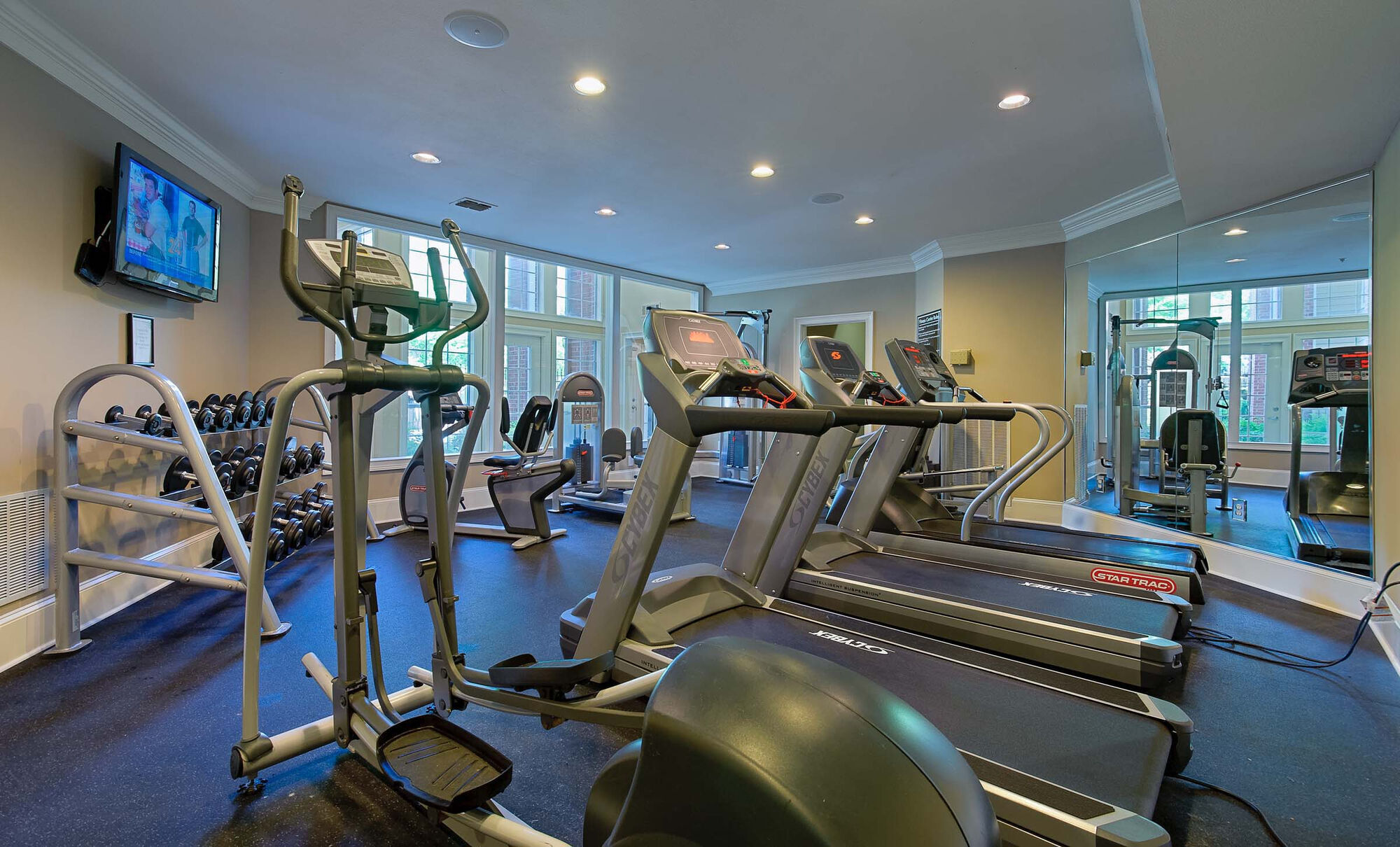 Camden Phipps Image 20