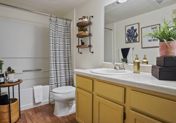 The Phoenix of El Paso Image 10