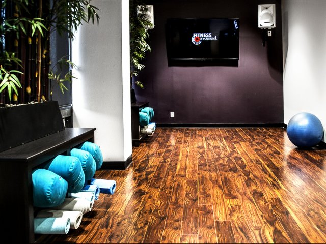 Follow Your  Zen, Find Your Center