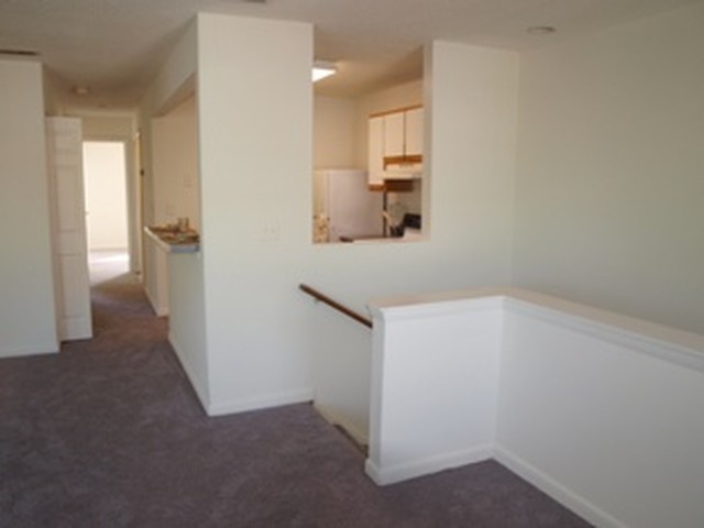 Pinetree Apartments Image 6