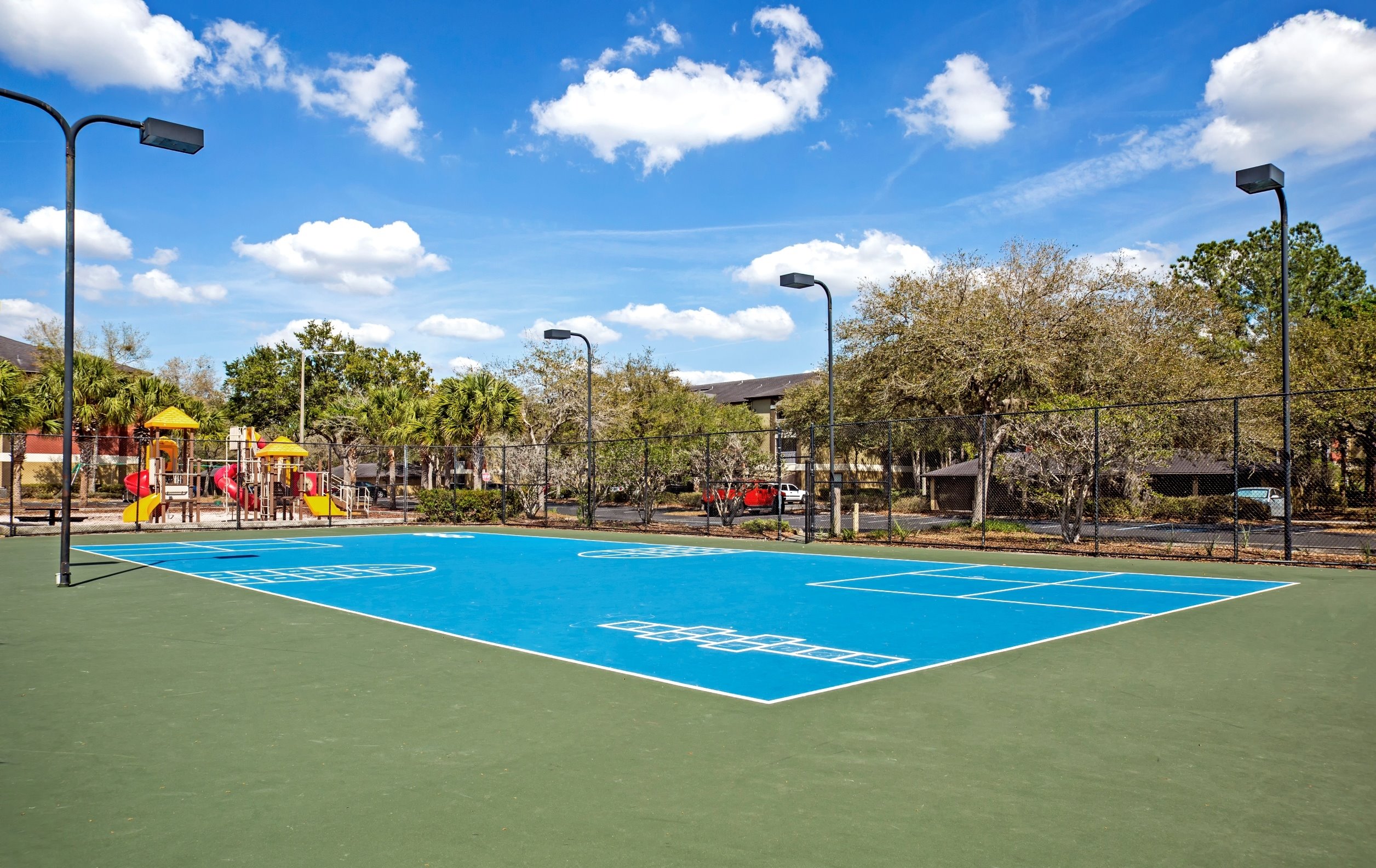 Sabal Palm at Carrollwood Image 19