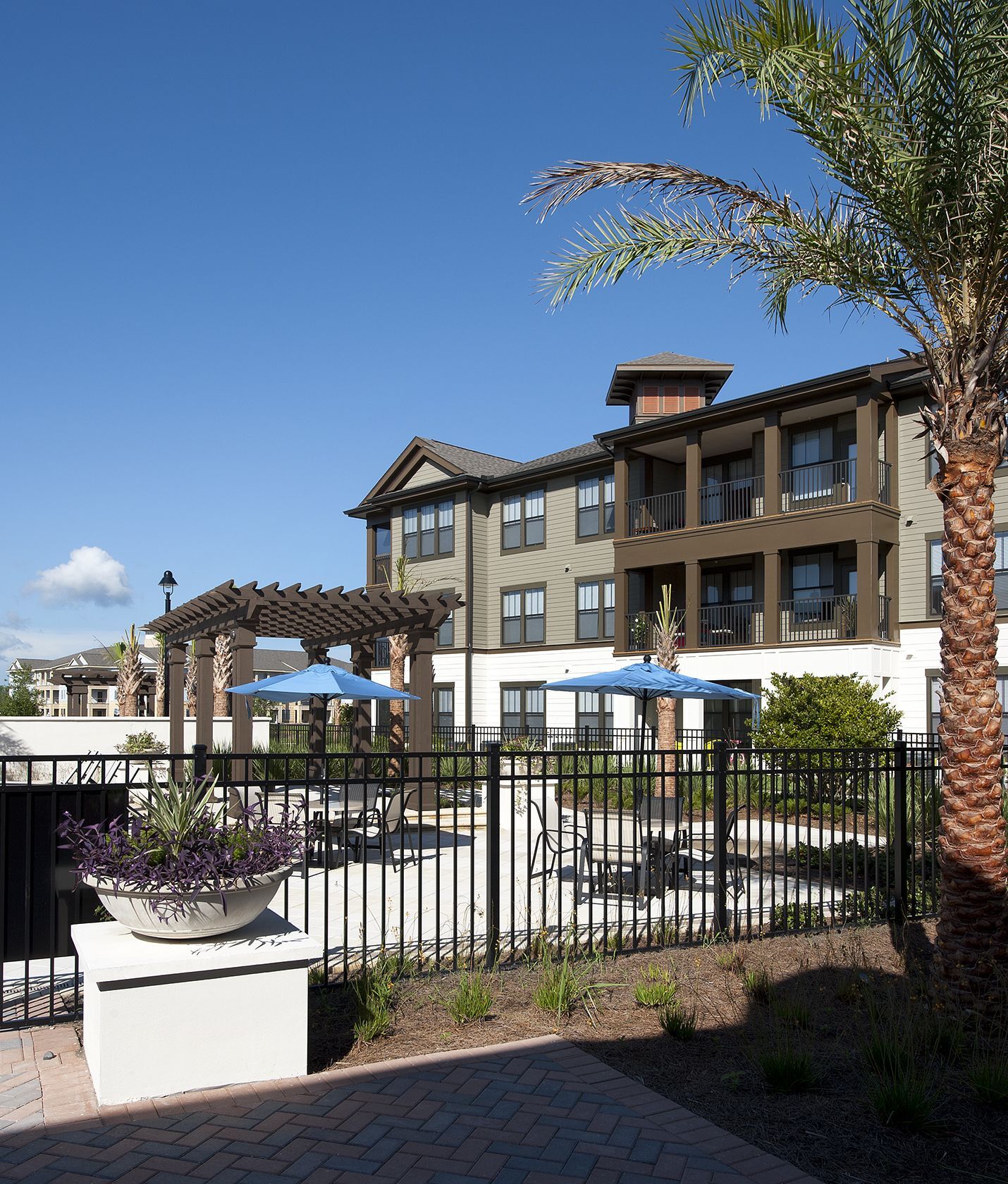 White Palm Apartments Image 28