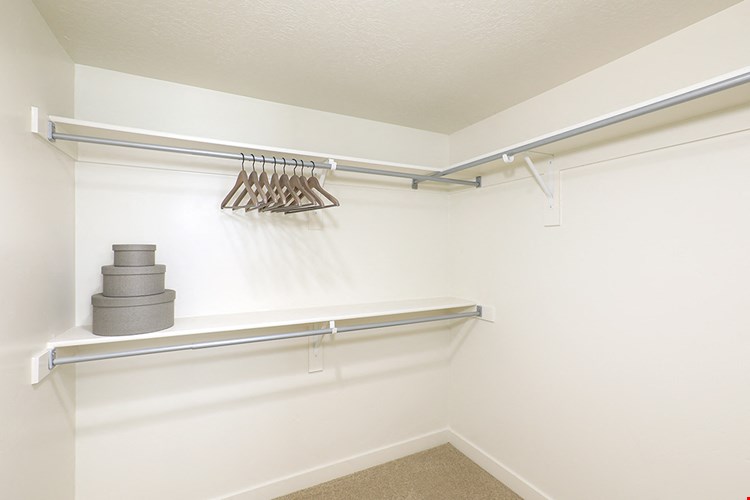 Boulder Canyon Image 4