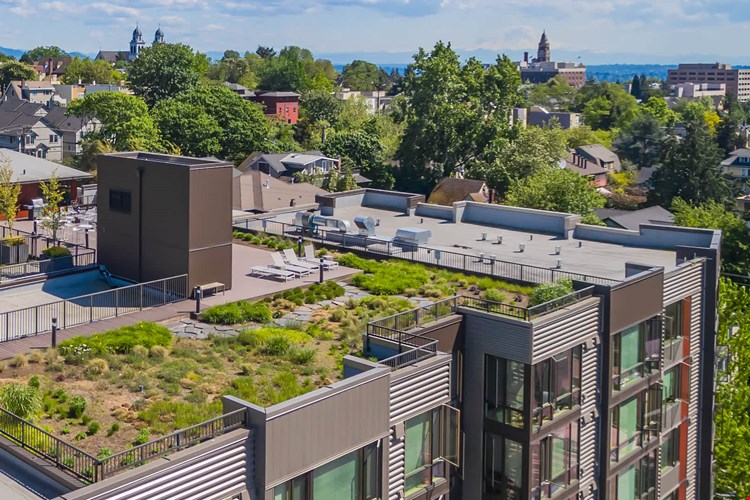 Chloe on Union Image 13