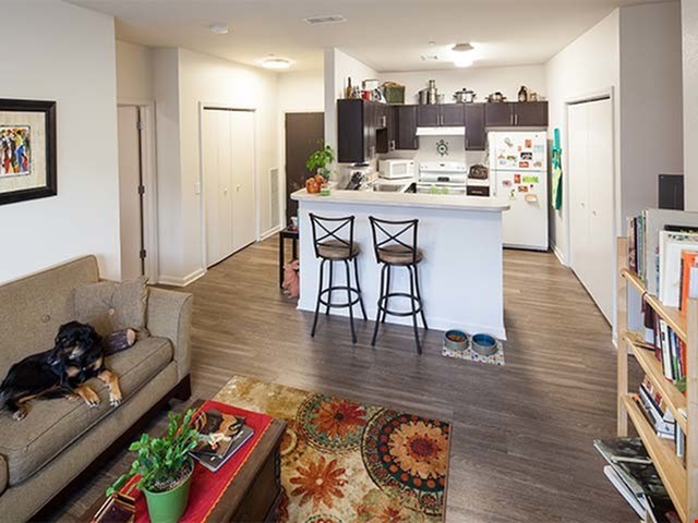 Open concept floor plan wwood-style flooring