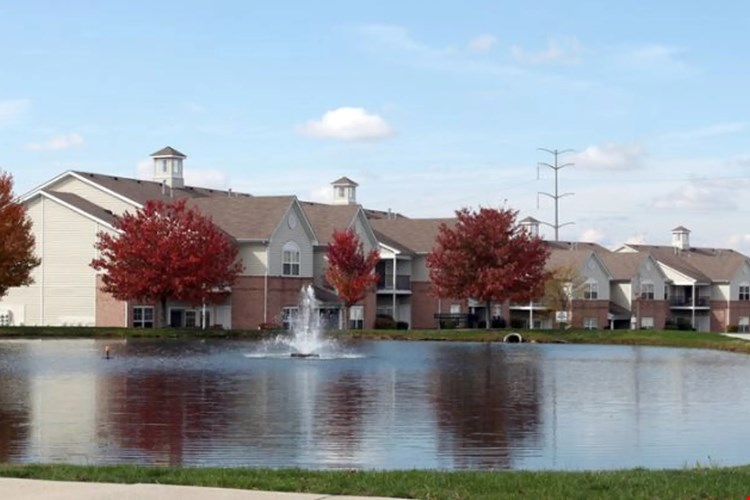 Autumn Chase Image 3