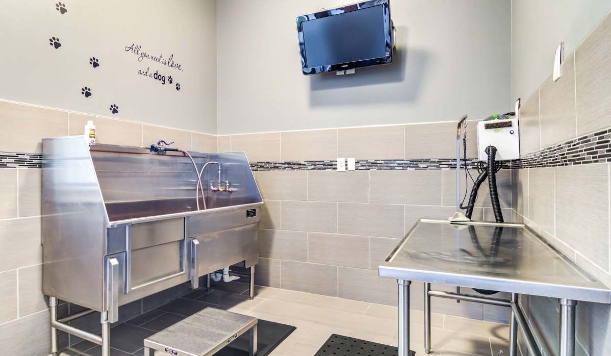 The Reserve at Johns Creek Walk Image 6