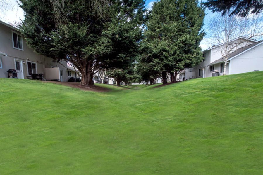 Townhomes at Mountain View Sumner Image 21
