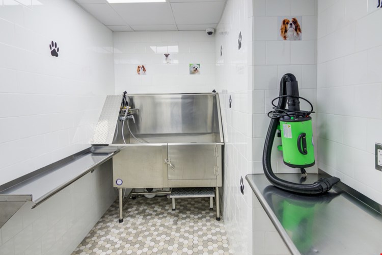 Stamford Corners Image 15