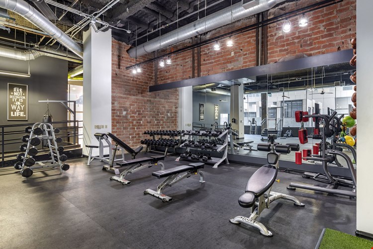 Mosaic Dallas Image 7