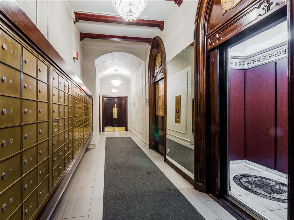 The Patricians Image 3