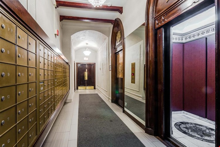 The Patricians Image 3