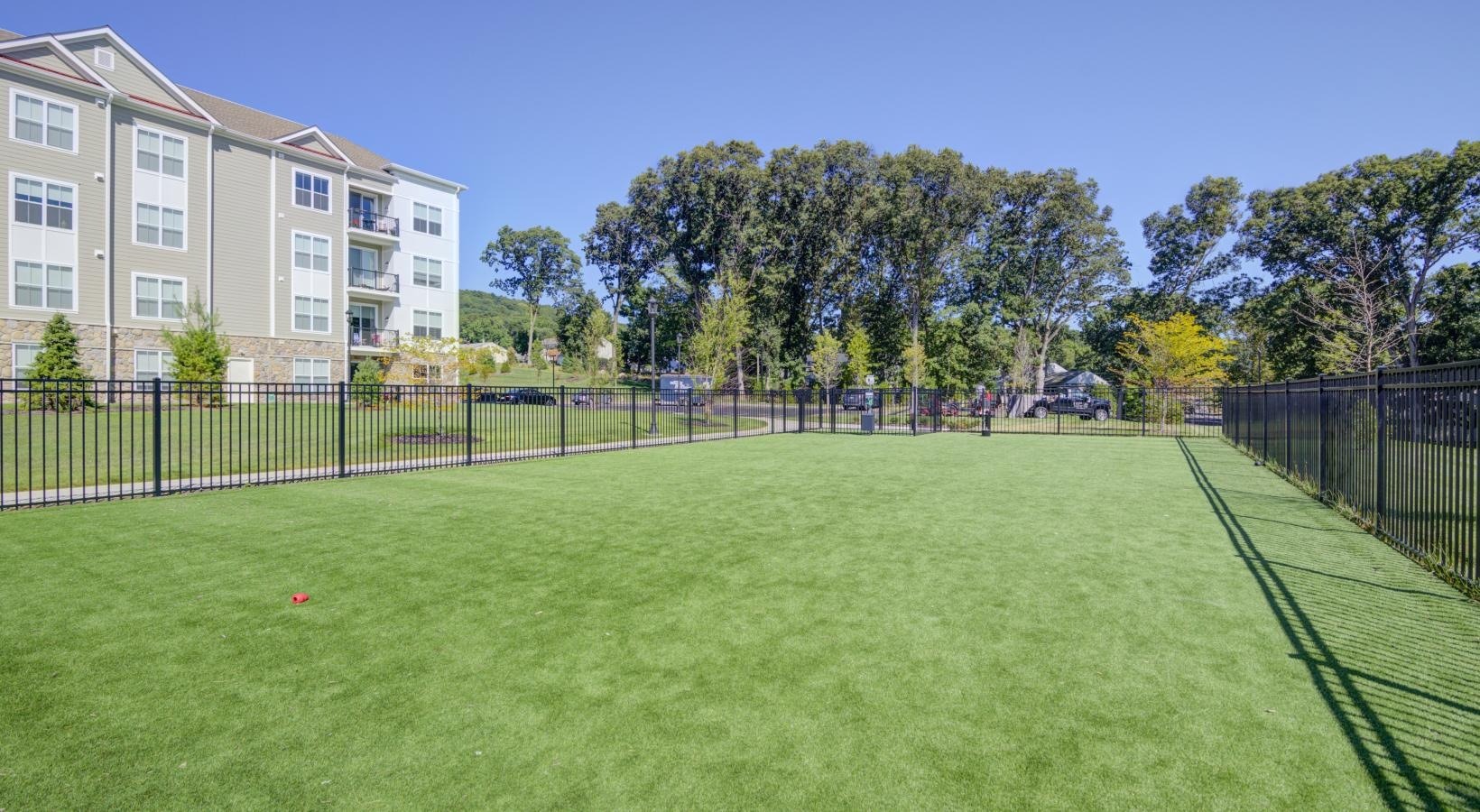 Molly Brook on Belmont Image 2