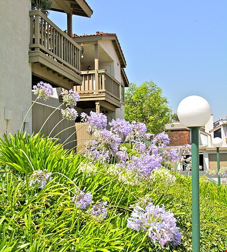 Sandcastle Apartments Image 11