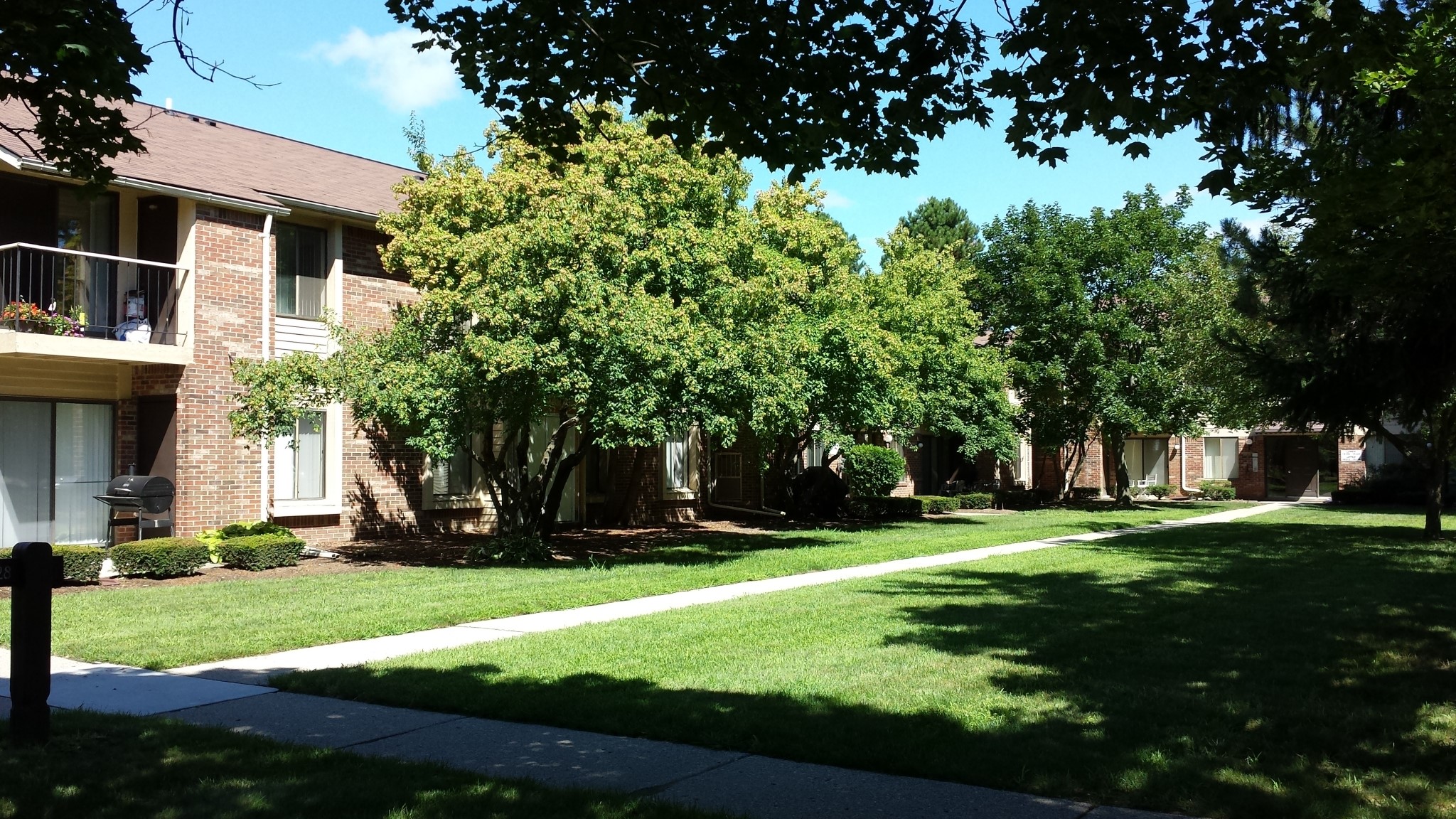 Merriman Woods Image 4