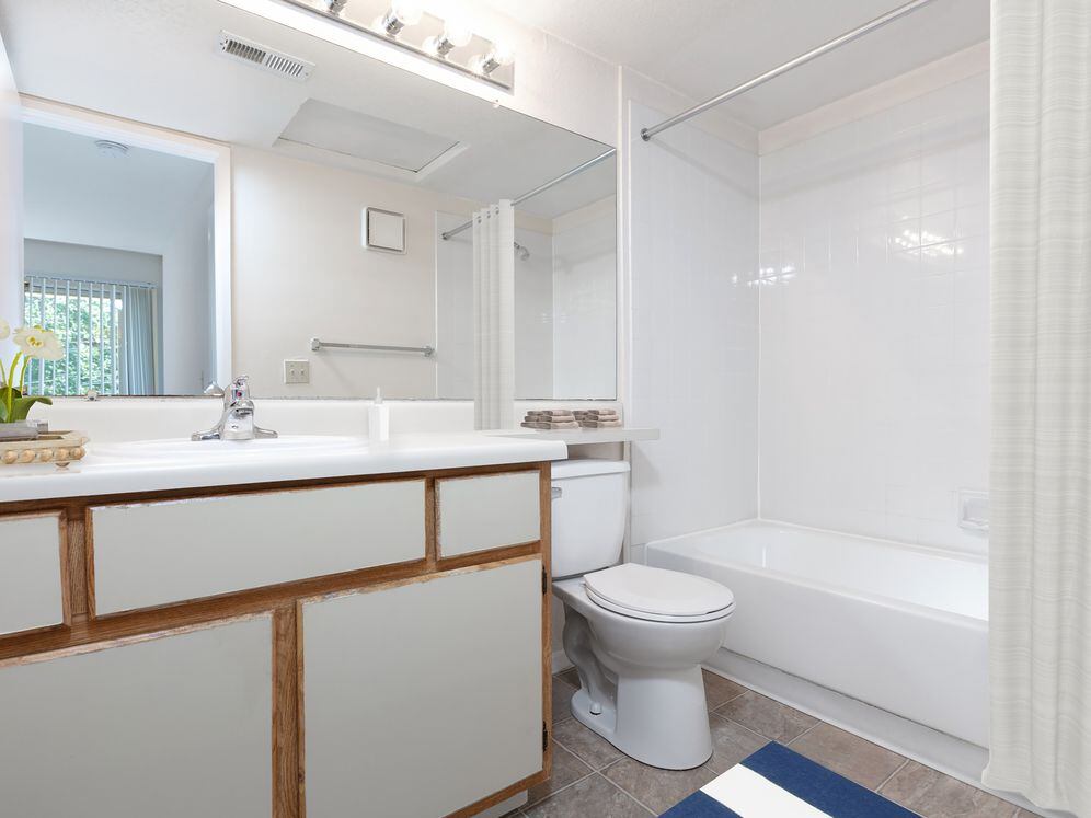 Traditional Collection bath with beige and brown cabinetry