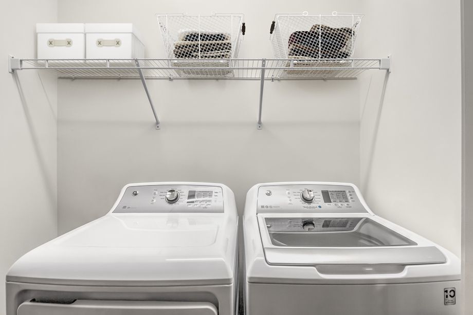 Camden Carolinian Image 15