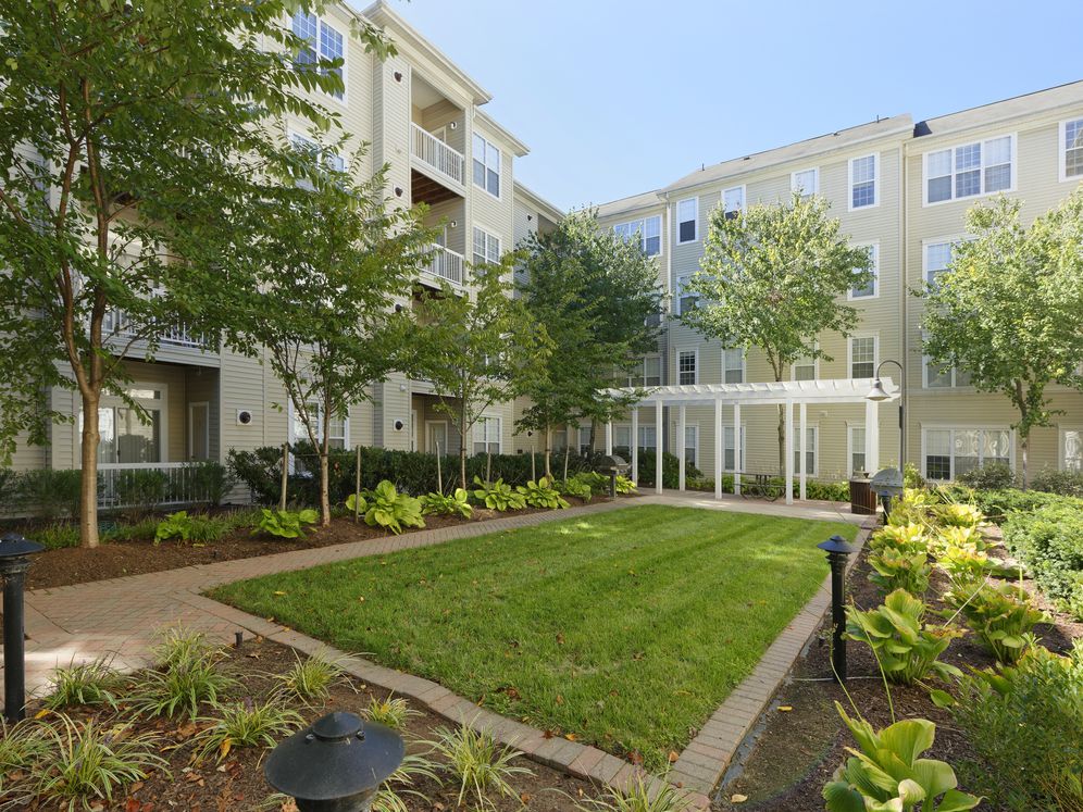 Courtyard with landscaped garden