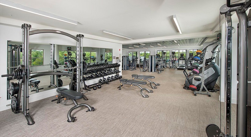 Ayla on Krog Image 13