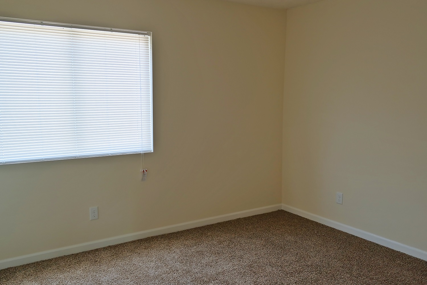 Bridges of Pine Creek Image 12