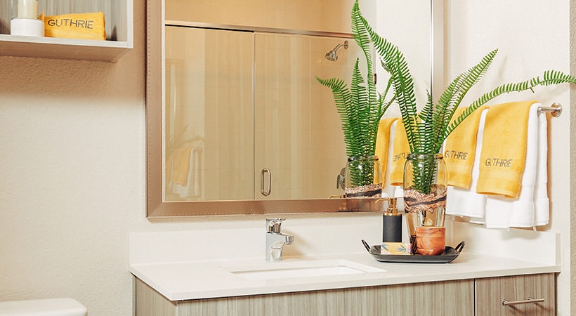 The Guthrie Image 12